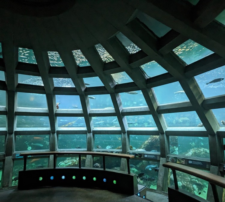 Seattle Aquarium (Seattle,&nbspWA)